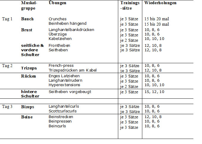 Mit dem Trainingsplan „Muskelaufbau für Anfänger“ zum Erfolg