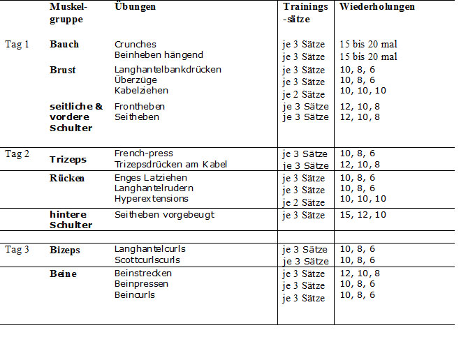 Muskelaufbau Trainingsplan